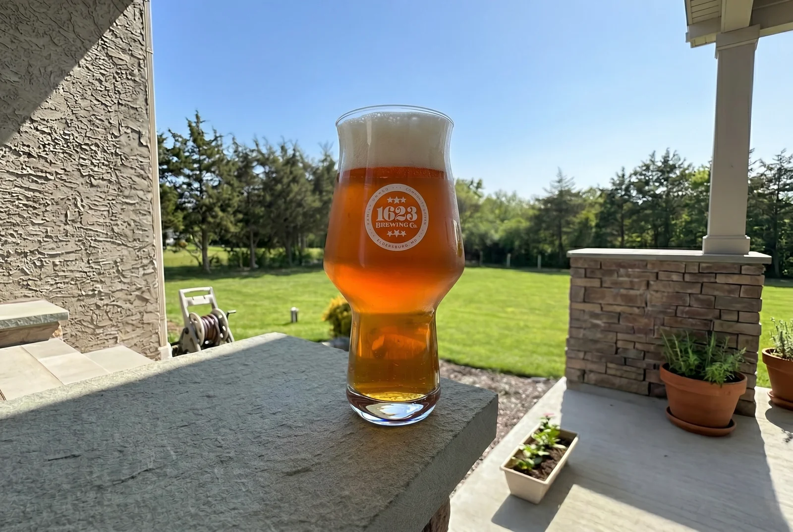 Master Your Homebrew Today