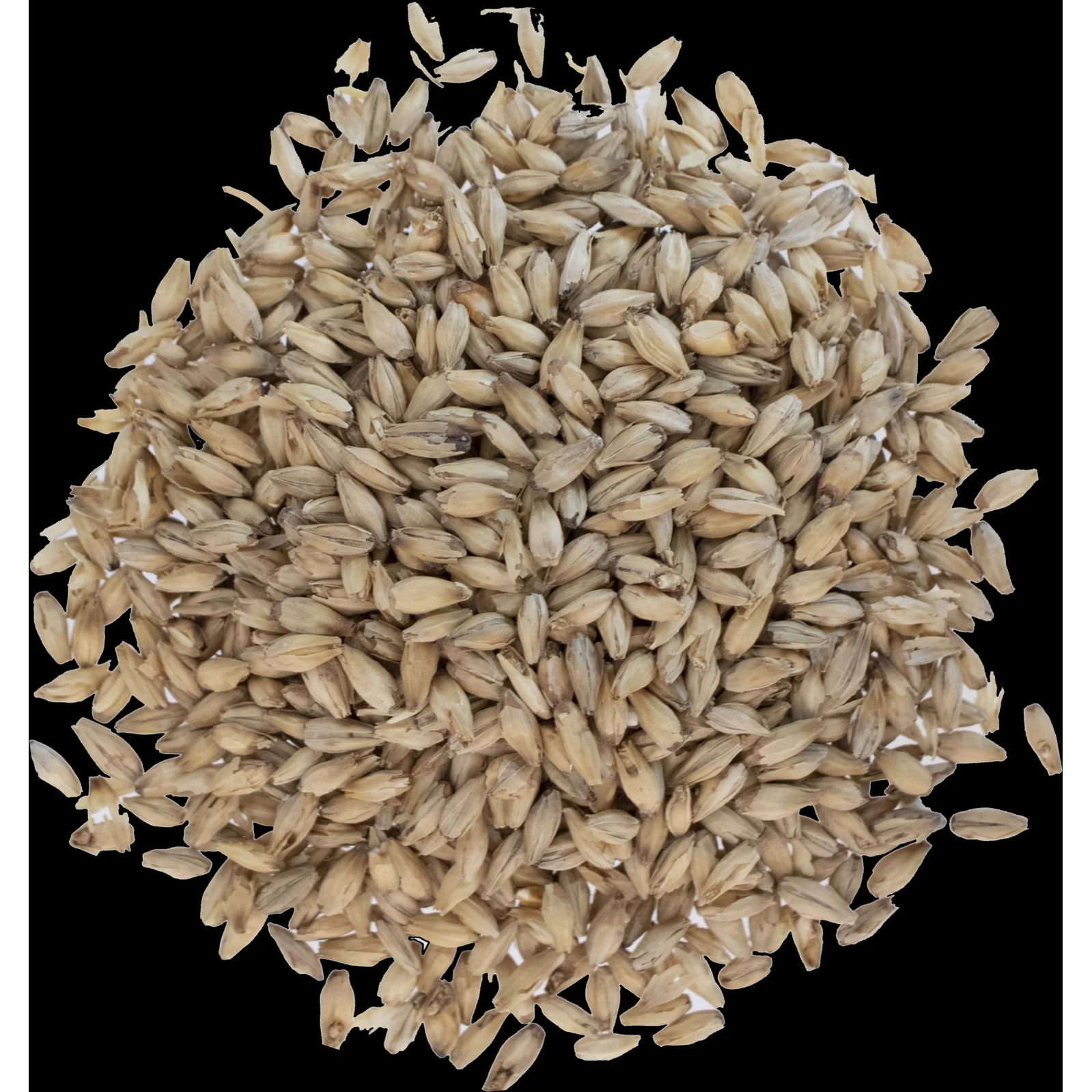 6-Row Malt - Rahr Malting - Image 3