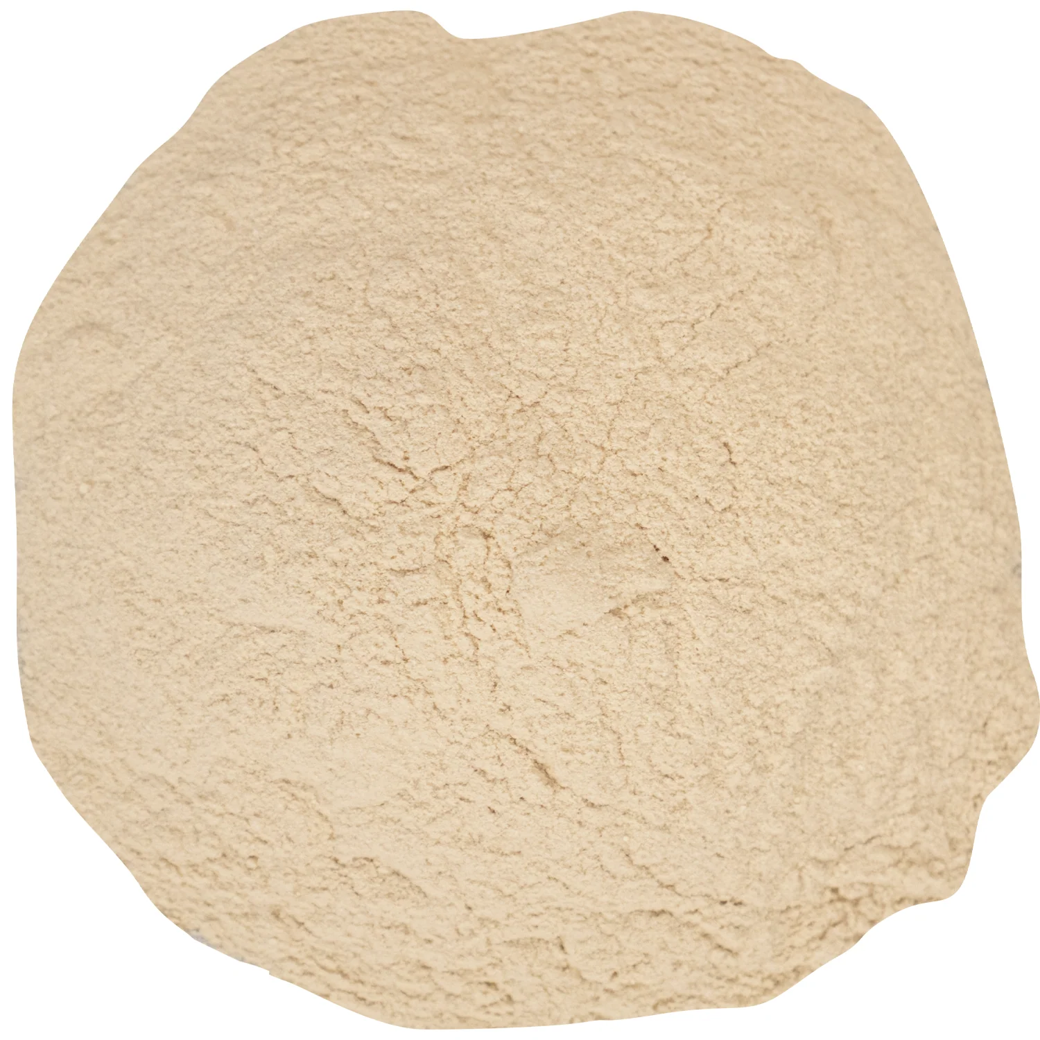 Biotin Powder Yeast Nutrient