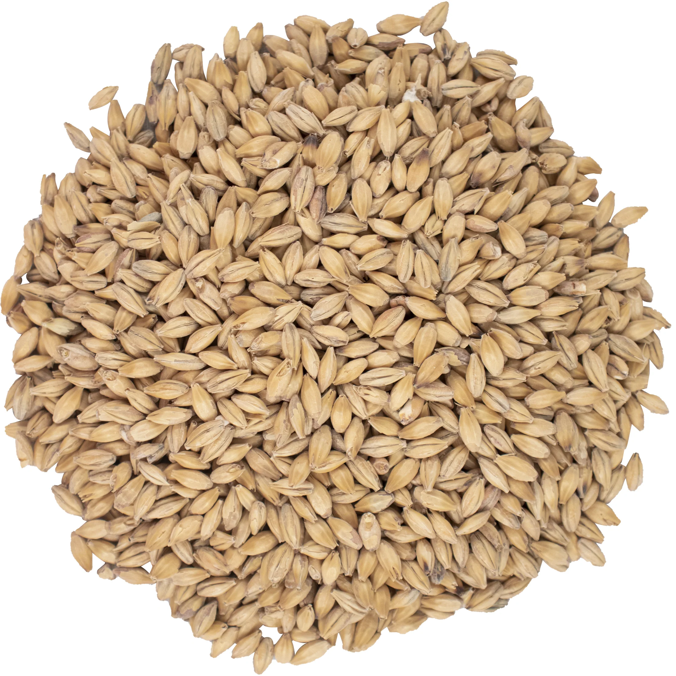 CaraBody Malt - Viking Malt