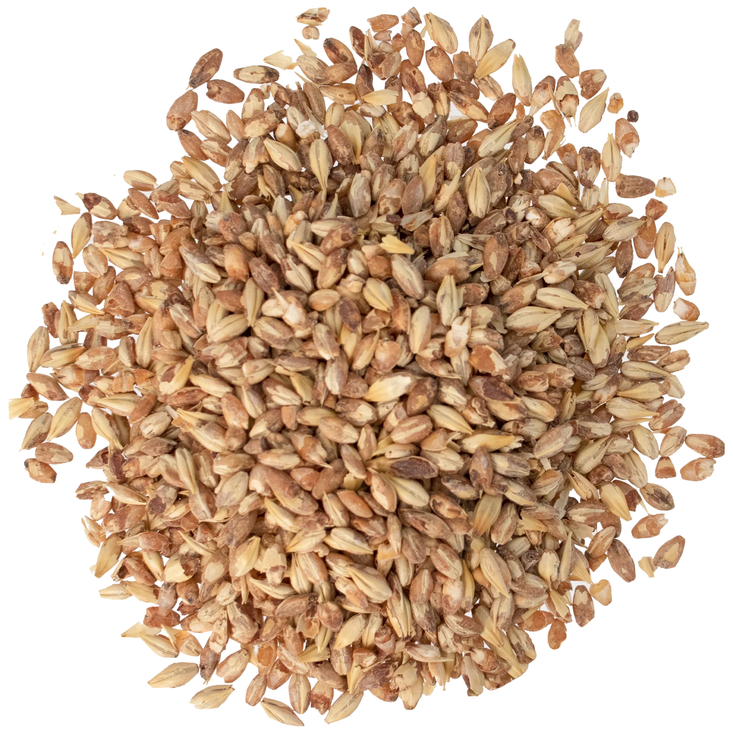 Caramel 20L Malt - Briess Malting