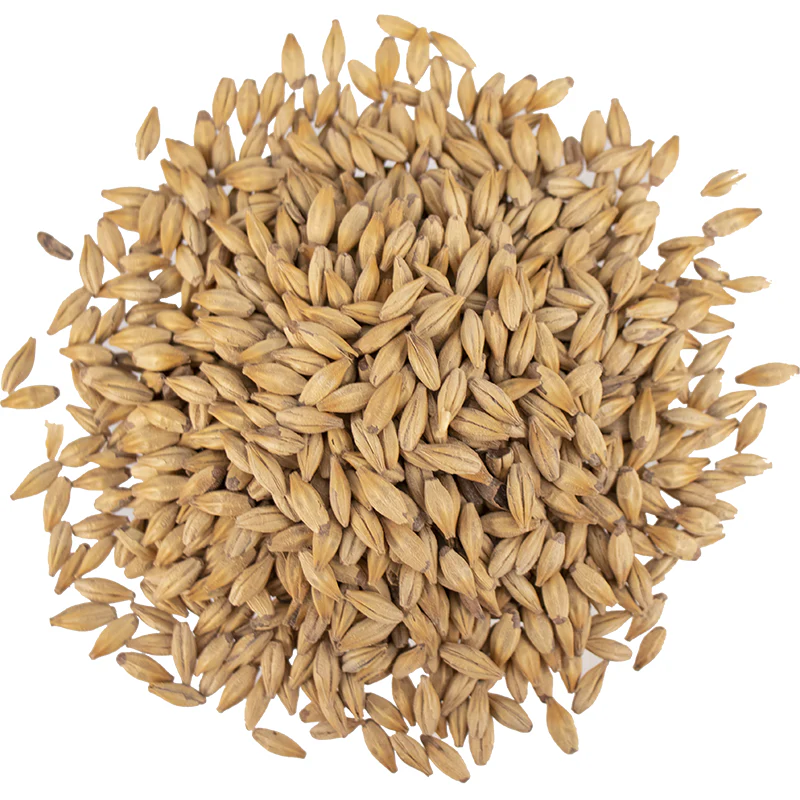 Caramel 30 (10L) Malt - Viking Malt