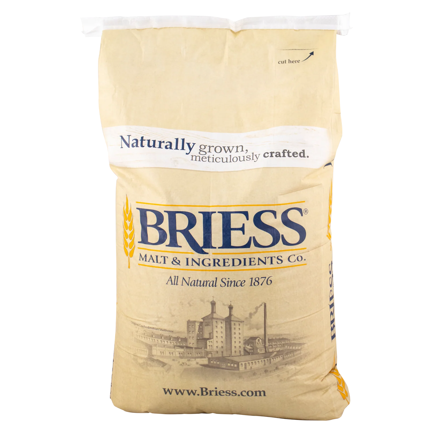 Briess Caramel 40L Malt - Image 3