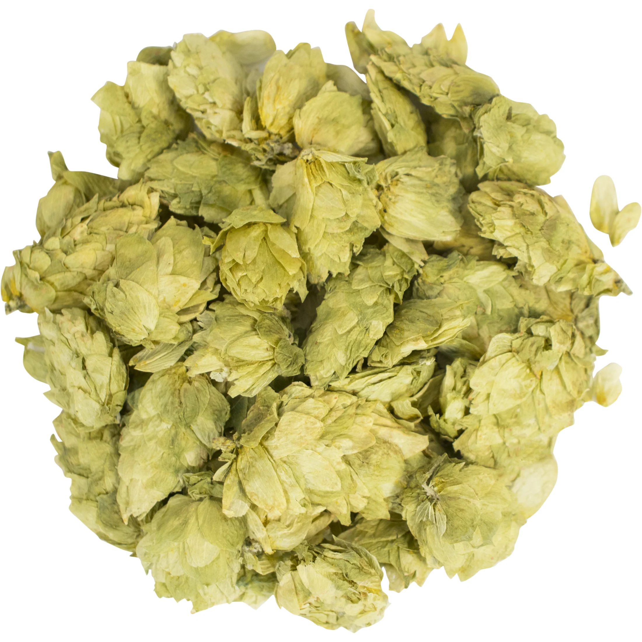 Cascade | Whole Cone Hops