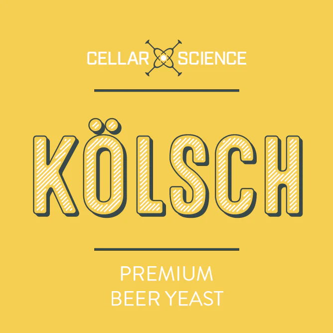 CellarScience® KÖLSCH Dry Yeast | Kölsch Ale | Premium Beer Yeast | 500 g - Image 4