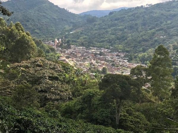 Colombia Finca Palmichal | Green Coffee Beans