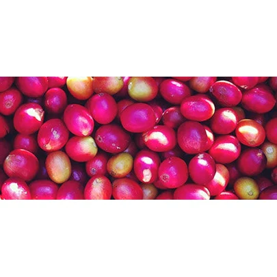 Colombia Huila Region | Green Coffee Beans