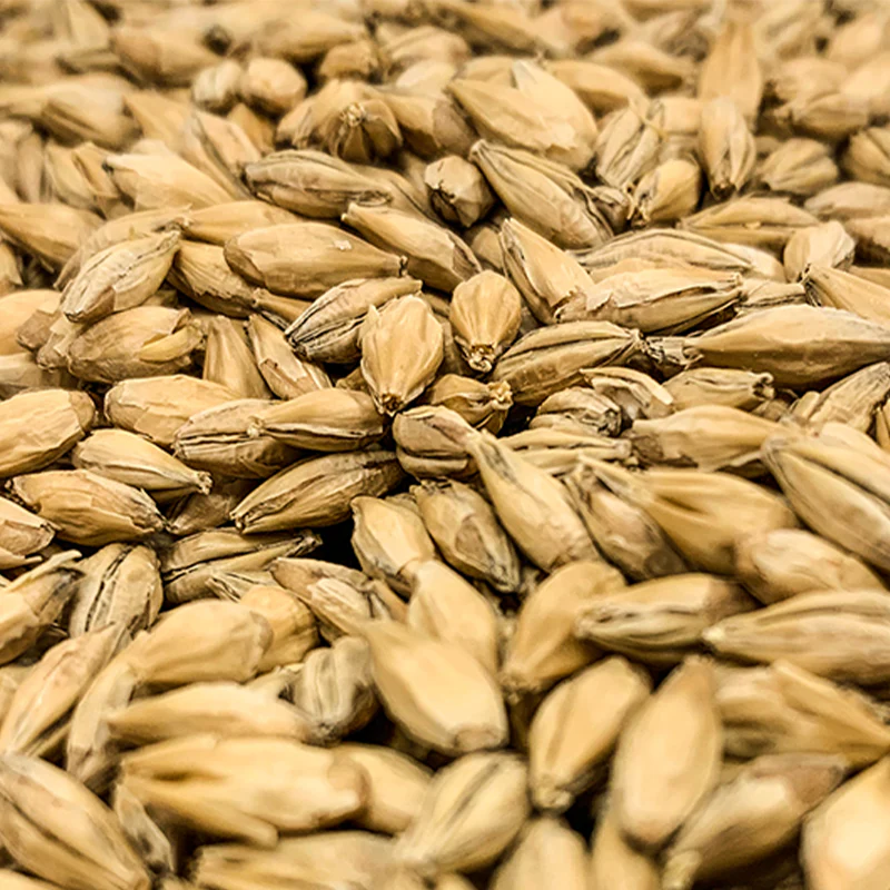 Dextrin Malt | Rahr Malting