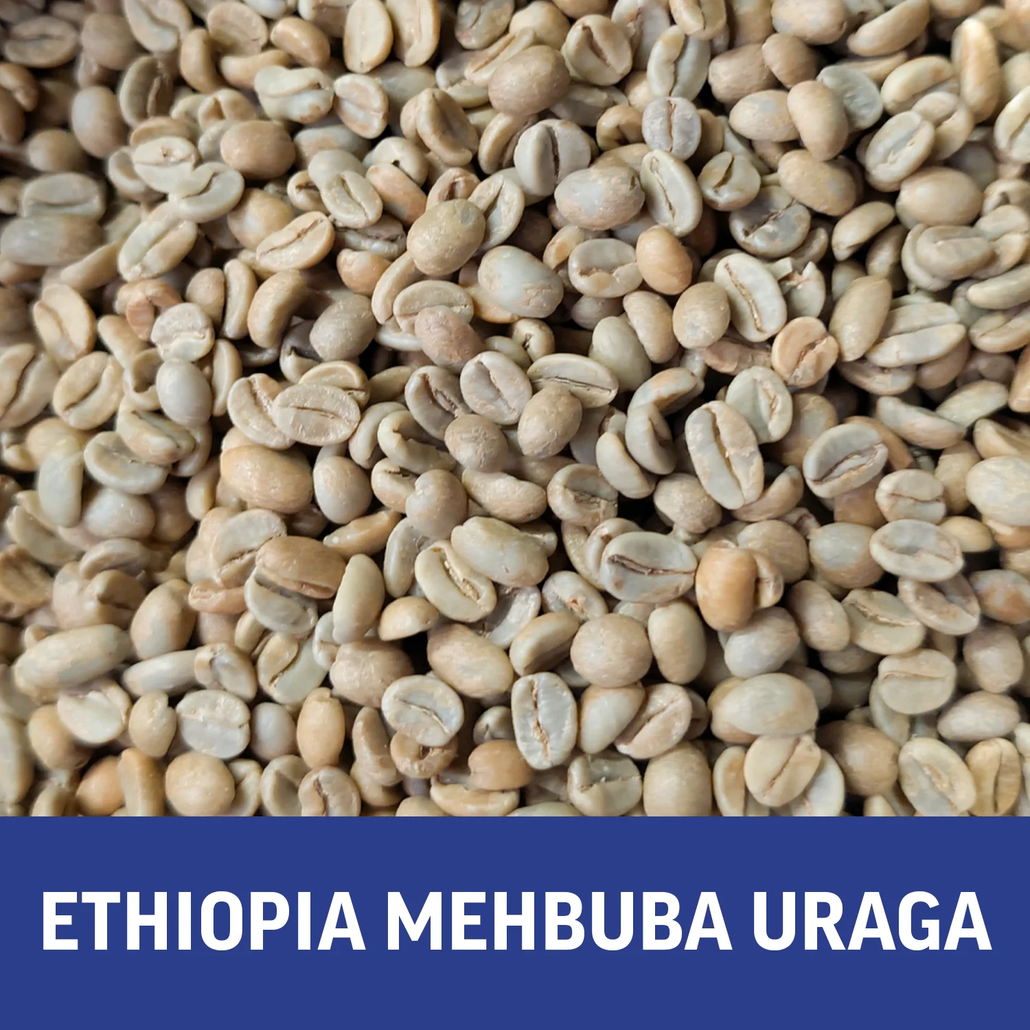 Ethiopia Mehbuba Uraga | Green Coffee Beans