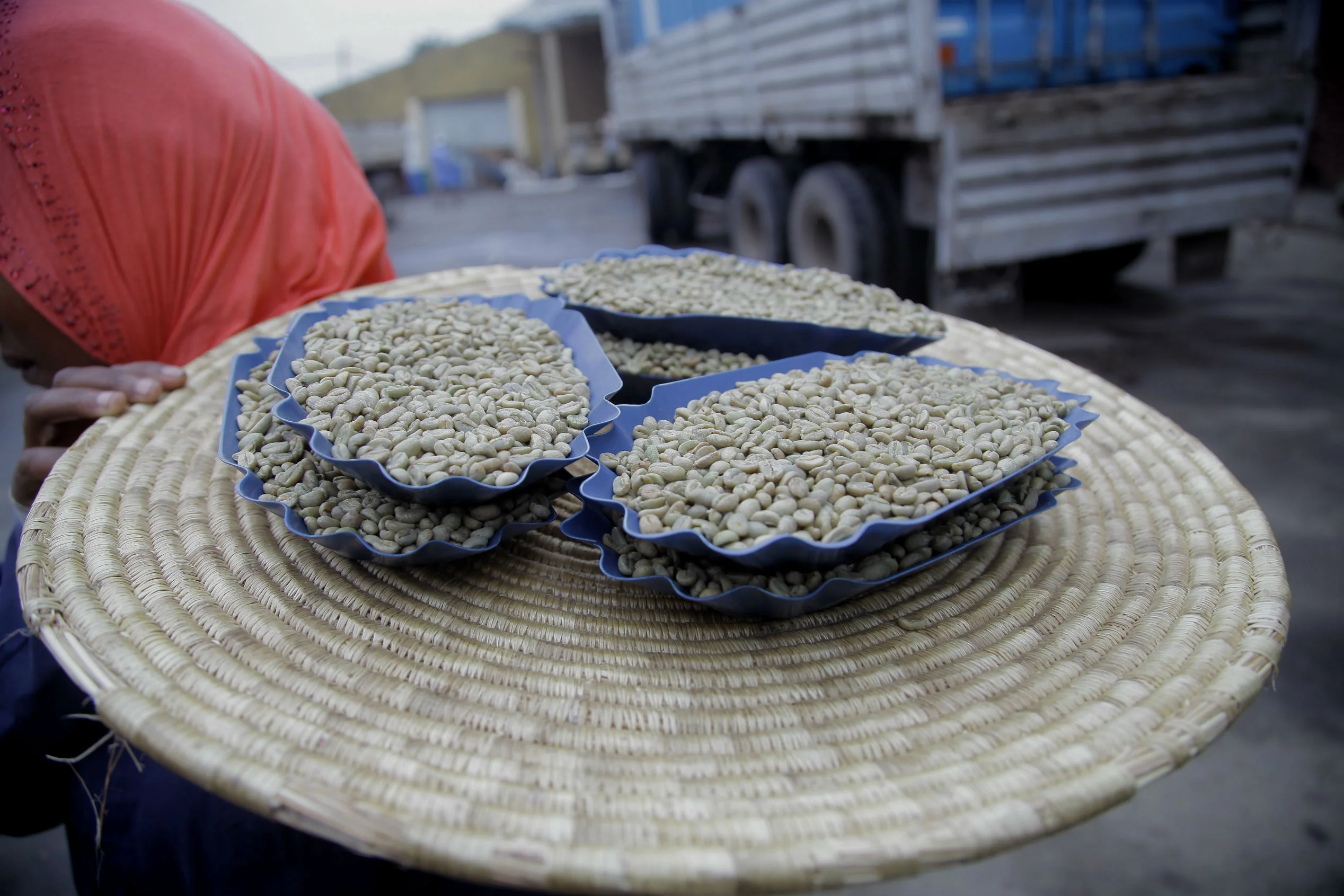 Ethiopia Sidamo | Green Coffee Beans - Image 2