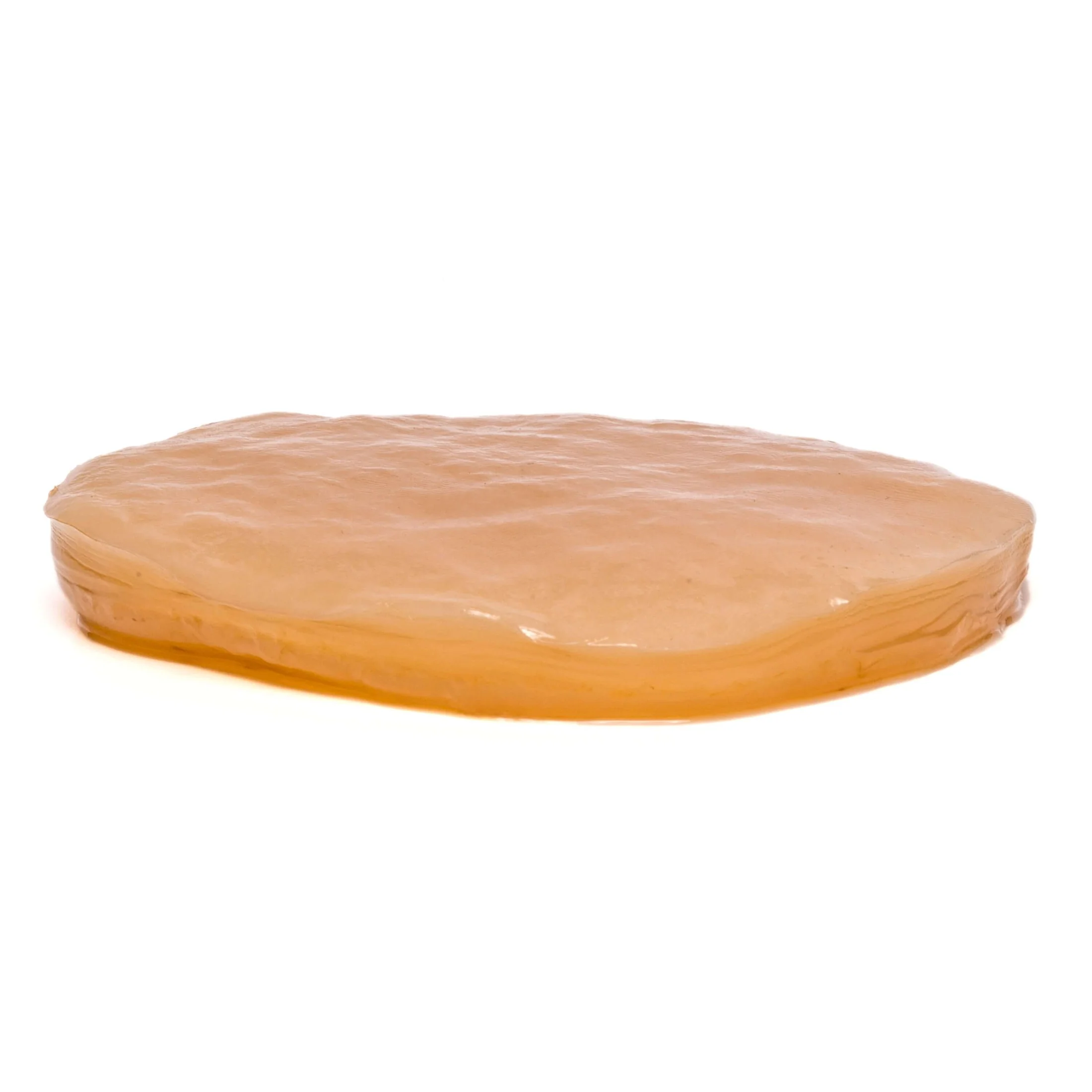 Fermentaholics - Classic Kombucha SCOBY Starter Culture - Image 3