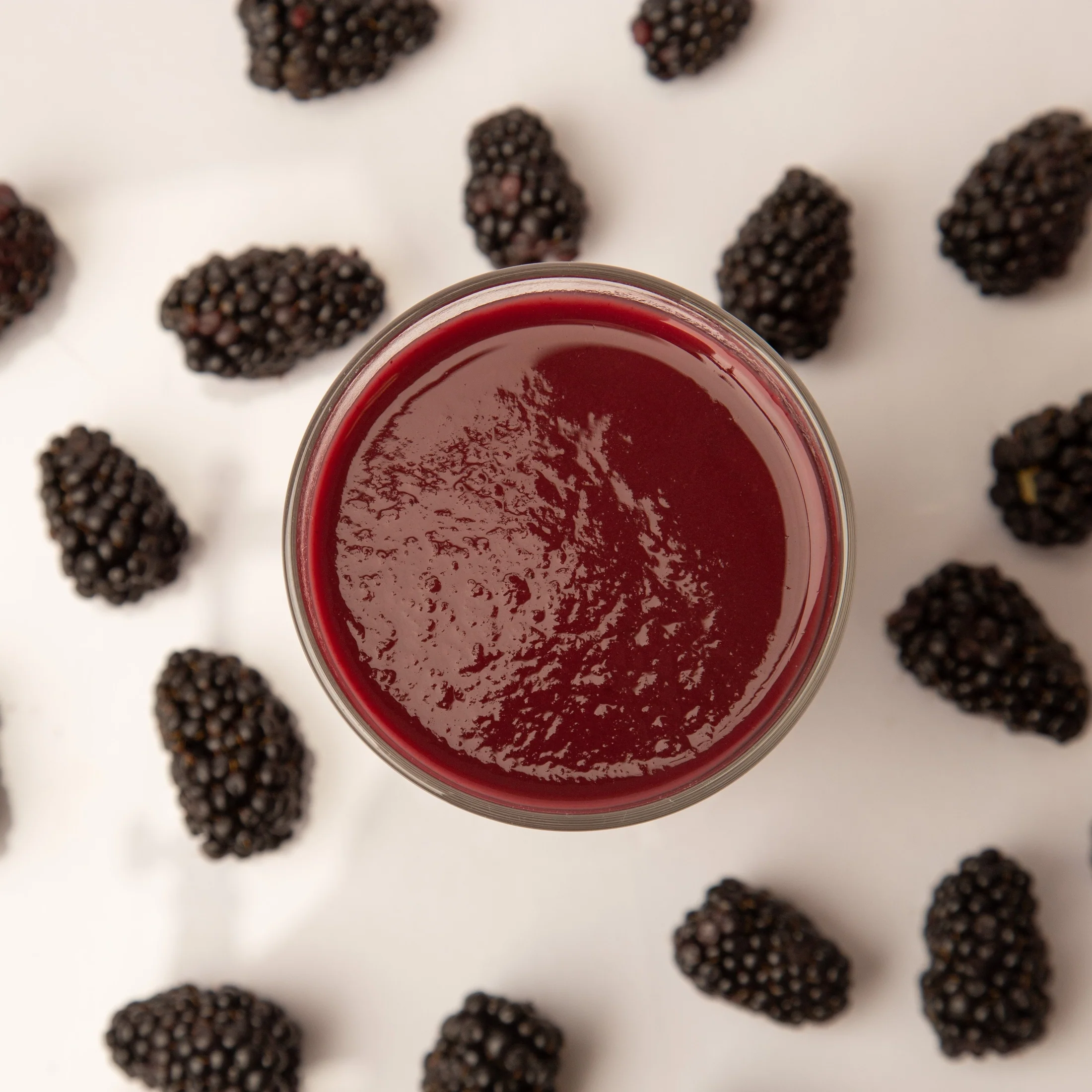 Fruit Puree | Blackberry | Endless Harvest | Aseptic | Shelf Stable | 100% Fruit | All Natural | 44 to 440 lb.