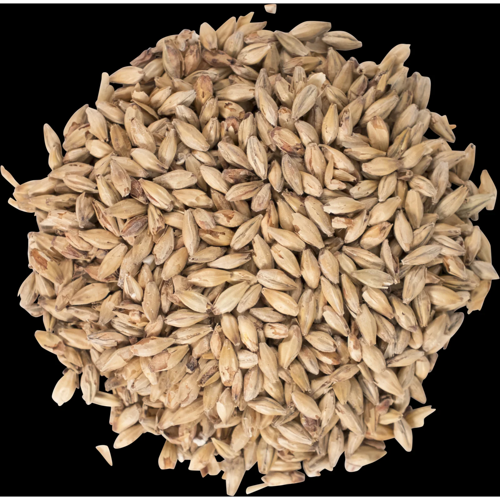 Honey Malt - Gabrinus Malting®