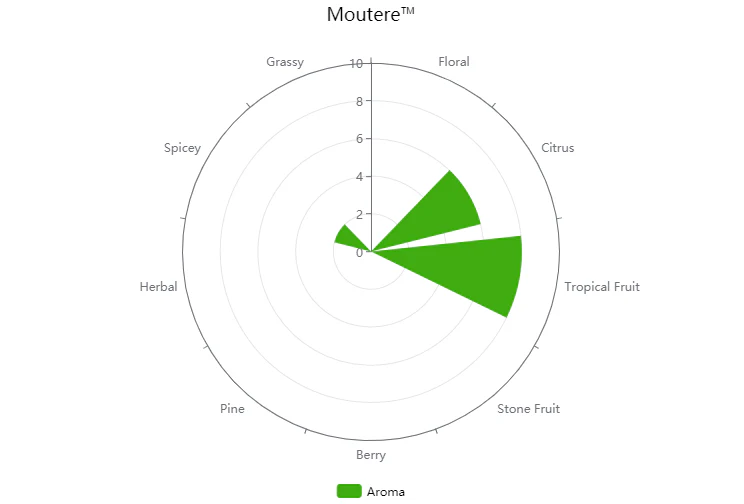 Moutere™ Hops (Pellets) - Image 4