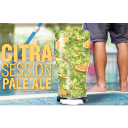 National Beer Day Celebration Ingredient Kit Combo Pack | Citra® Session Pale Ale | Cali Mountain Pale Ale | I Heart IPA - Image 2