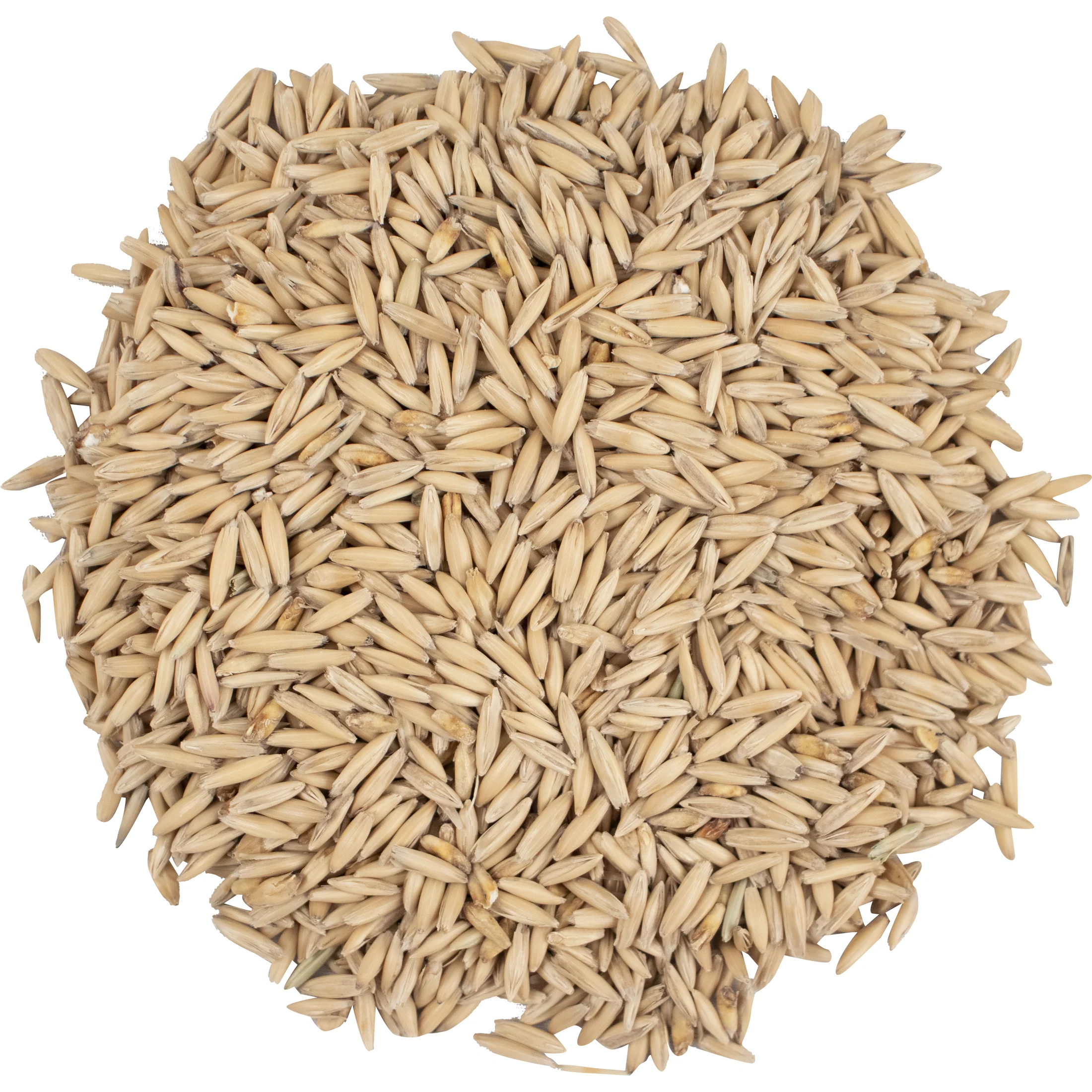 Oat Malt - Viking Malt