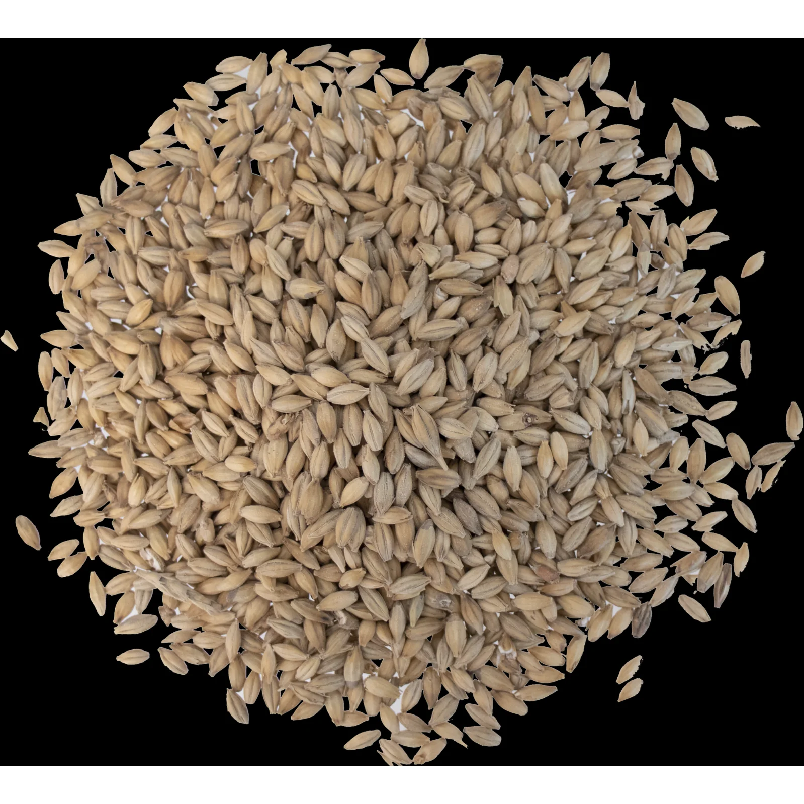 Pearl Malt - Thomas Fawcett Malting