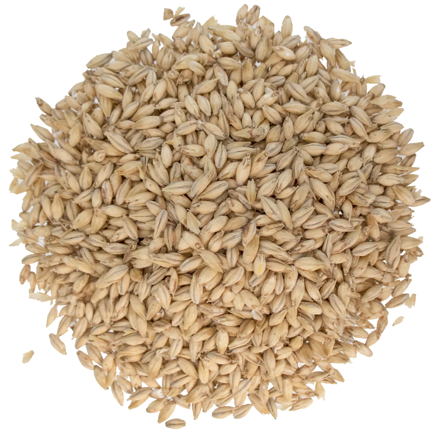 Pilsen Malt - Briess Malting