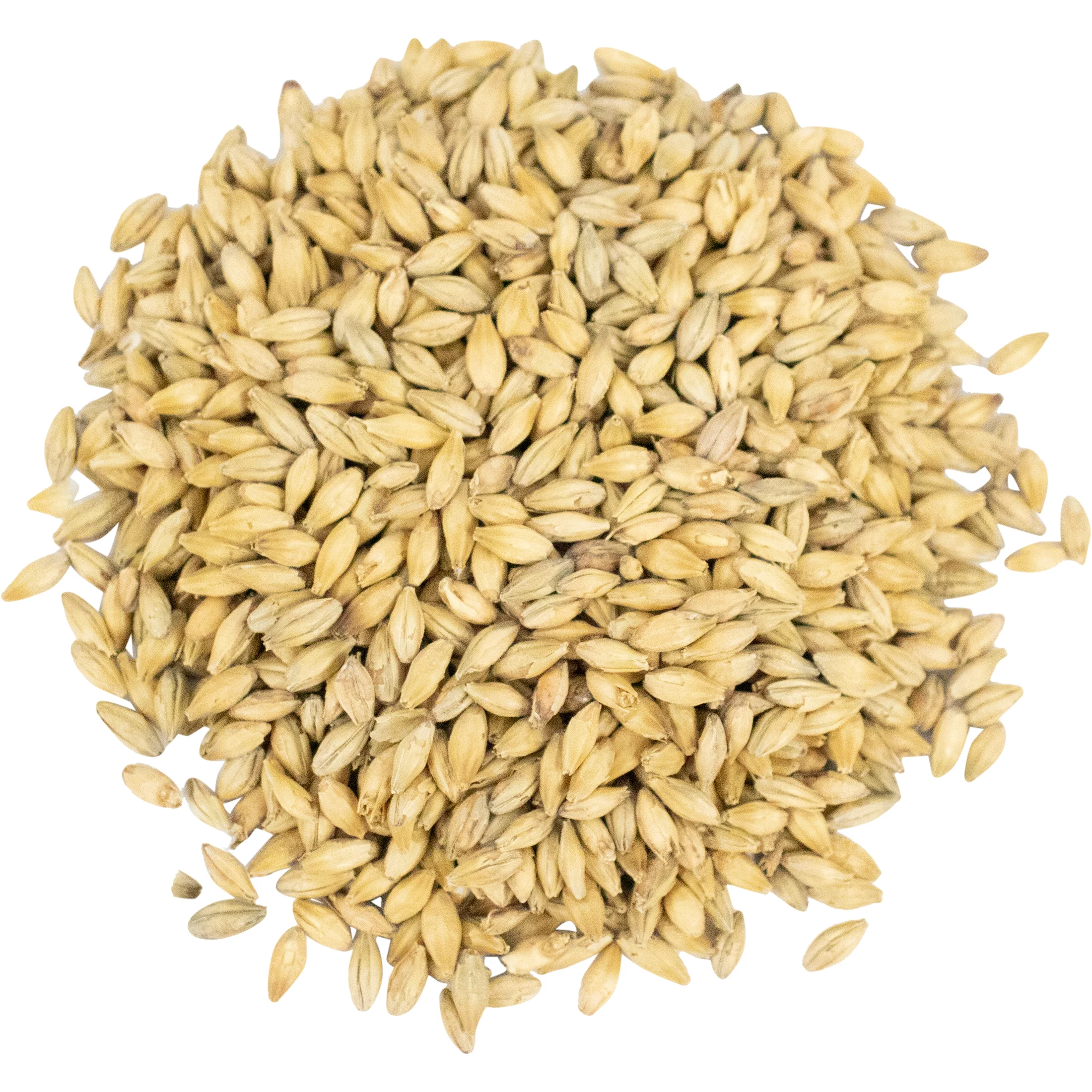 Pilsner Zero Malt | Viking Malt