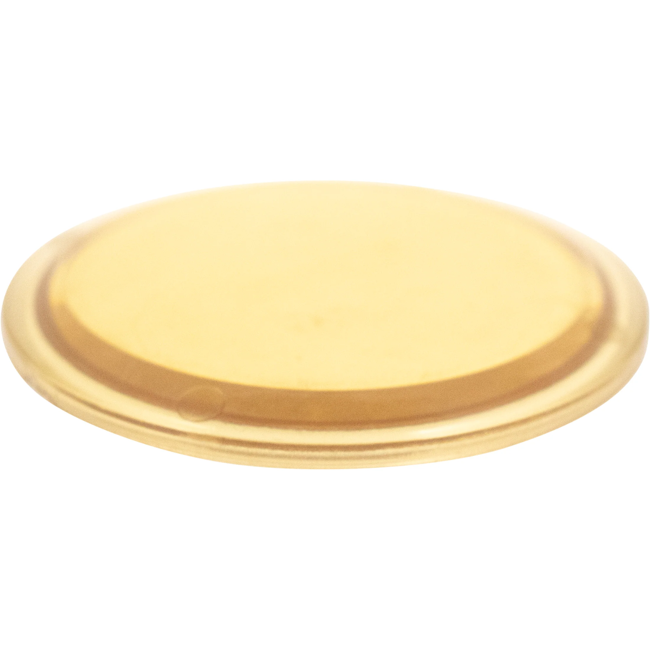 Plastic Sight Glass Lens | 2" Tri-Clamp | Transparent T.C. End Cap - Image 5
