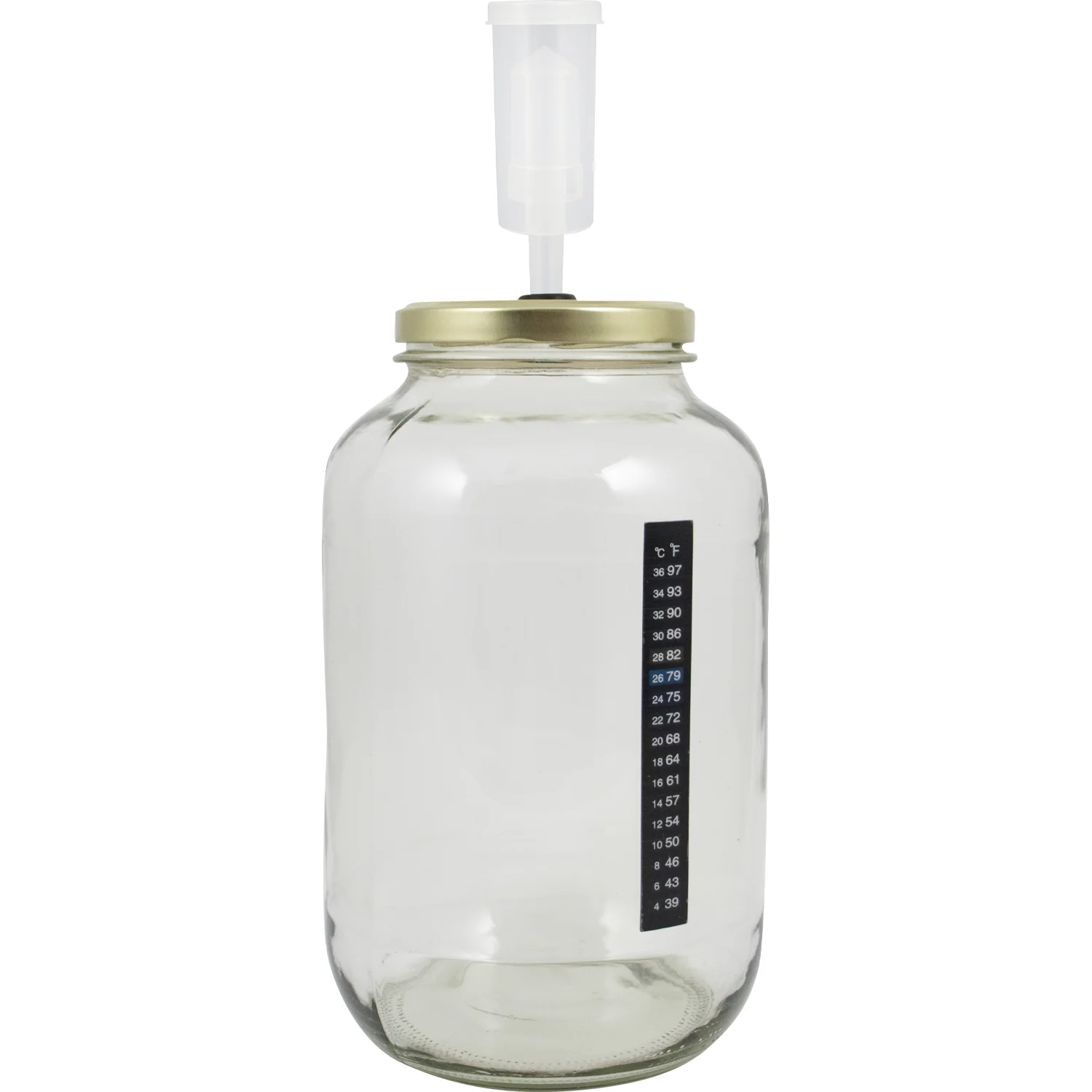 Pop Cultures | Food Fermentation Equipment Kit | 1 Gallon - Image 3