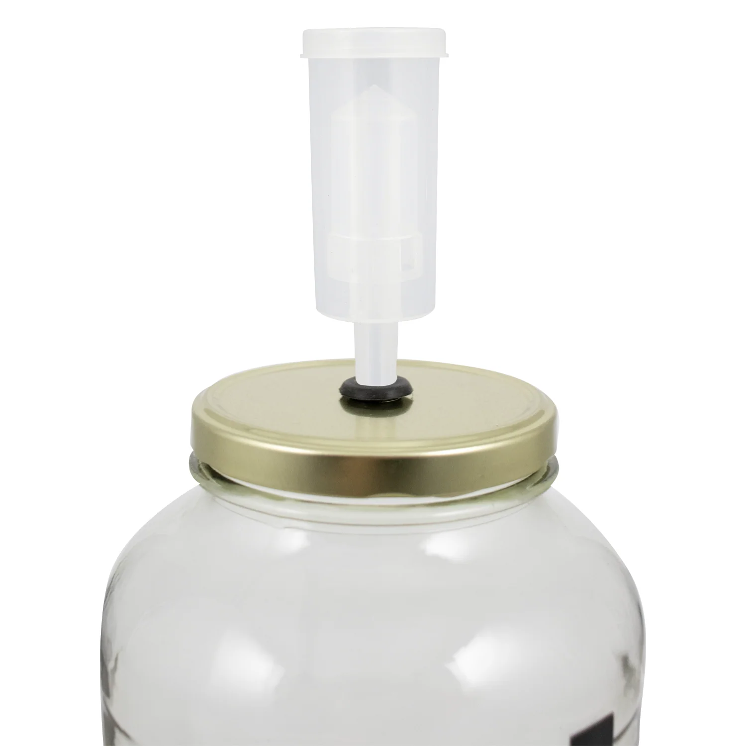 Pop Cultures | Food Fermentation Equipment Kit | 1 Gallon - Image 4