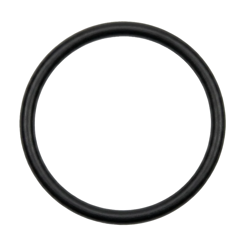 Replacement O-Ring for MB® Medusa™ MultiHead Counter Pressure Bottle Filler