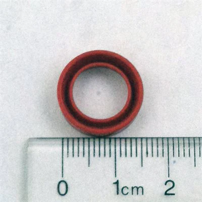 Ring Gasket On Enolmatic Nozzle
