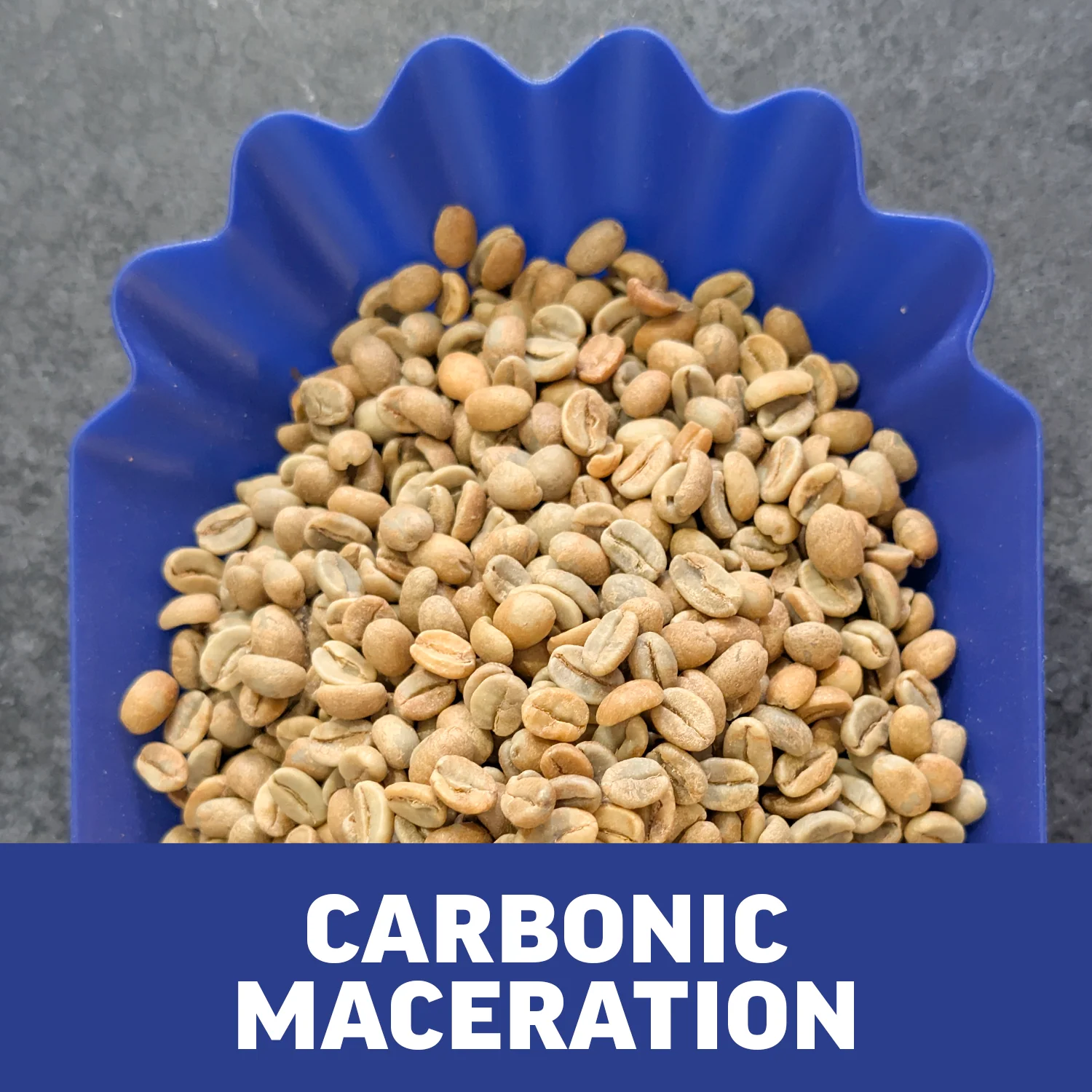 Rwanda Kungahara | Carbonic Maceration | Green Coffee Beans