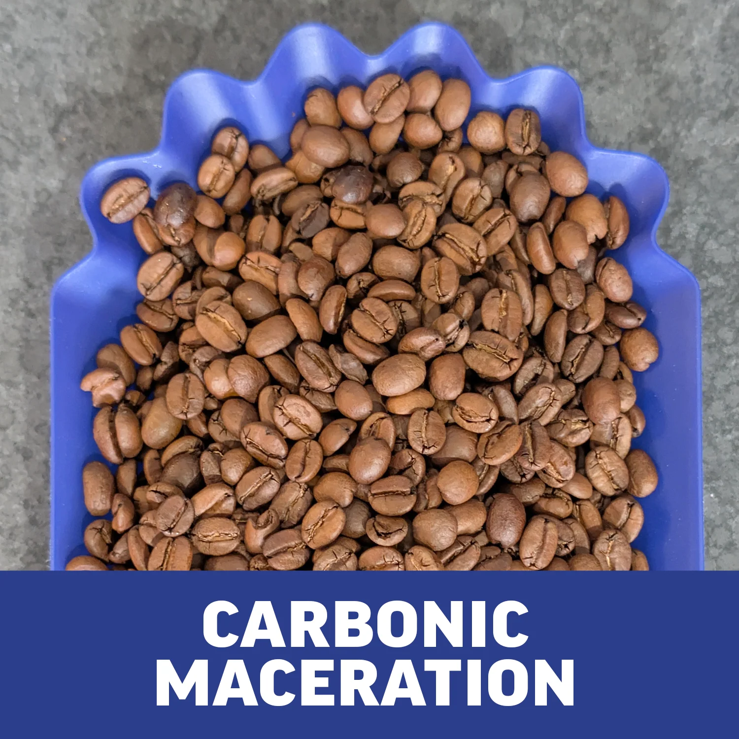 Rwanda Kungahara | Carbonic Maceration | Green Coffee Beans - Image 2