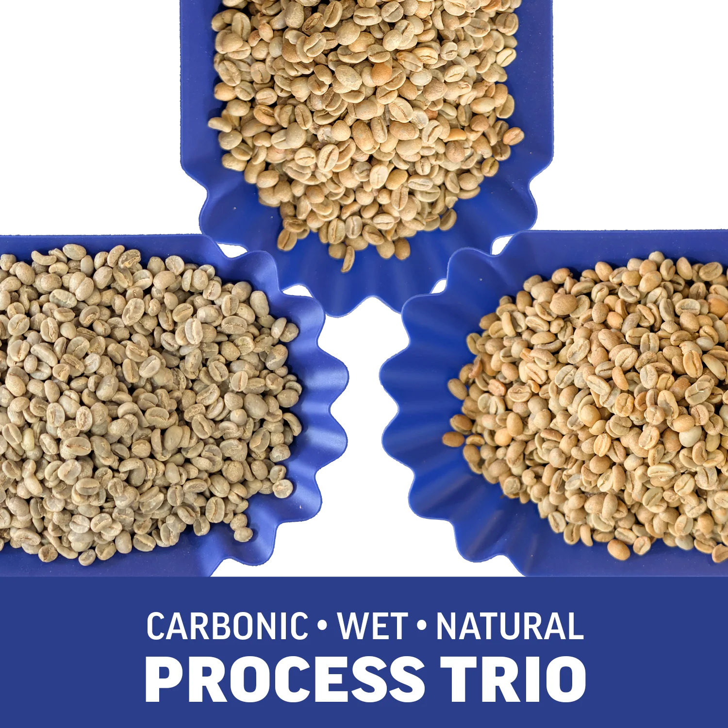 Rwanda Kungahara | Process Trio (3 x 1 lb) | Green Coffee Beans