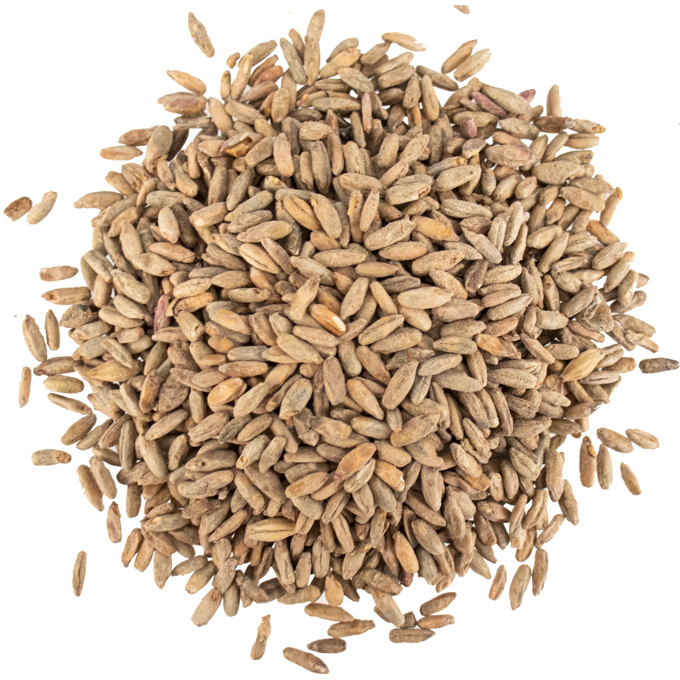 Rye Malt - Viking Malt