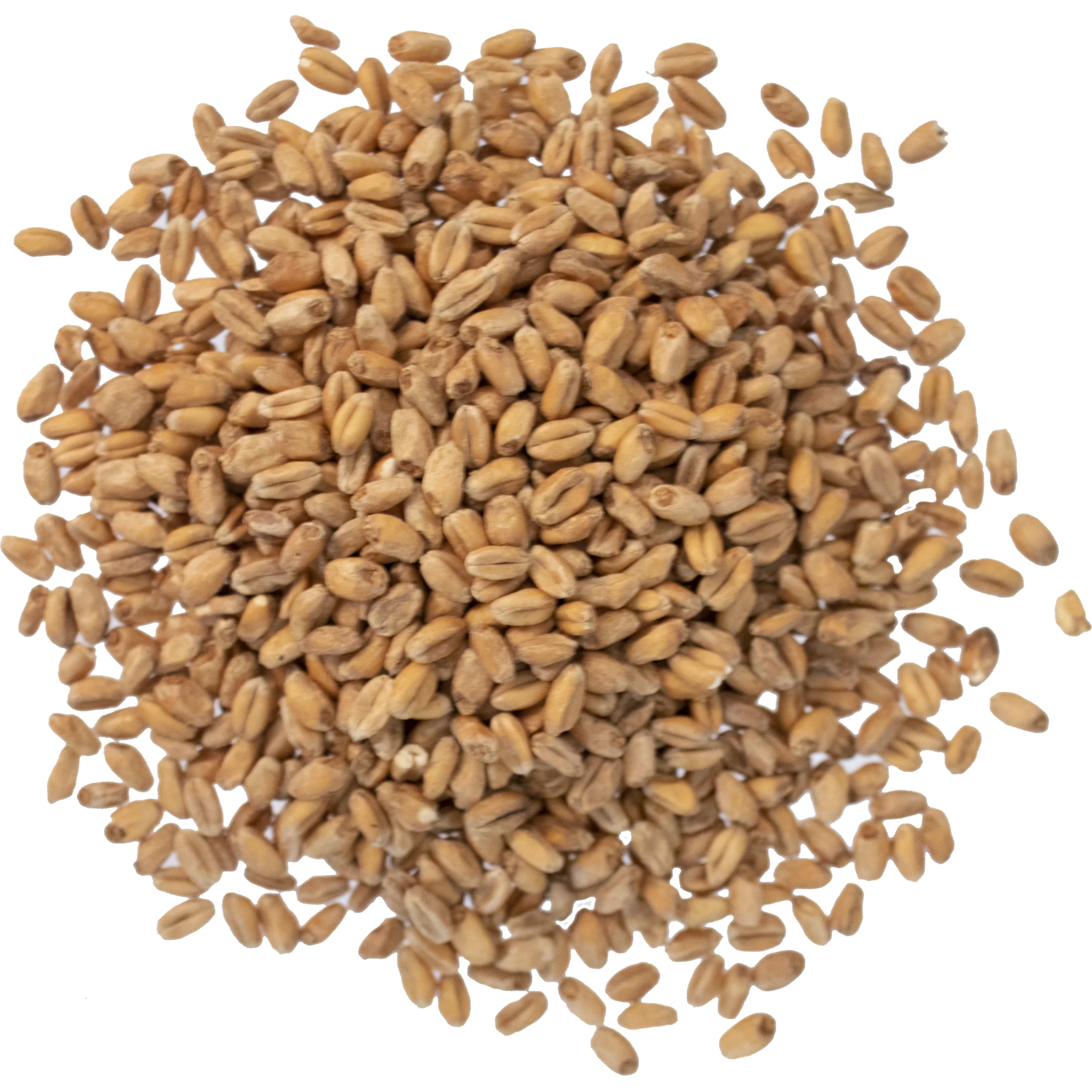 Smoked Wheat Malt - Viking Malt