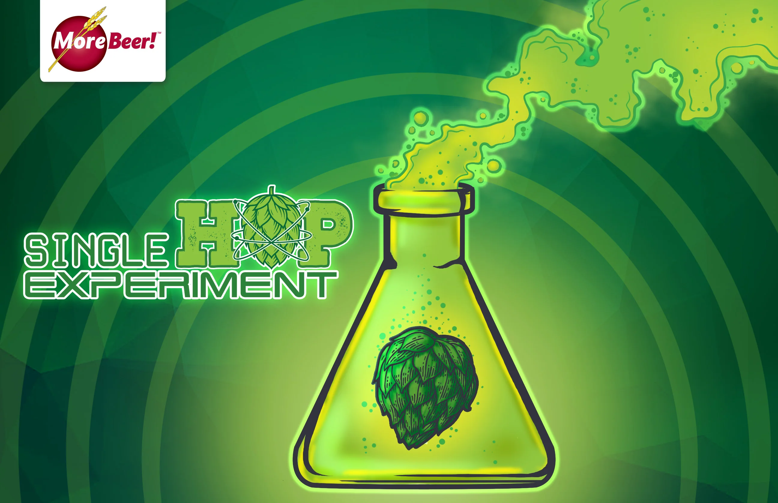 The Southern Passion Single Hop Experiment | 5 Gallon Beer Recipe Kit | All-Grain