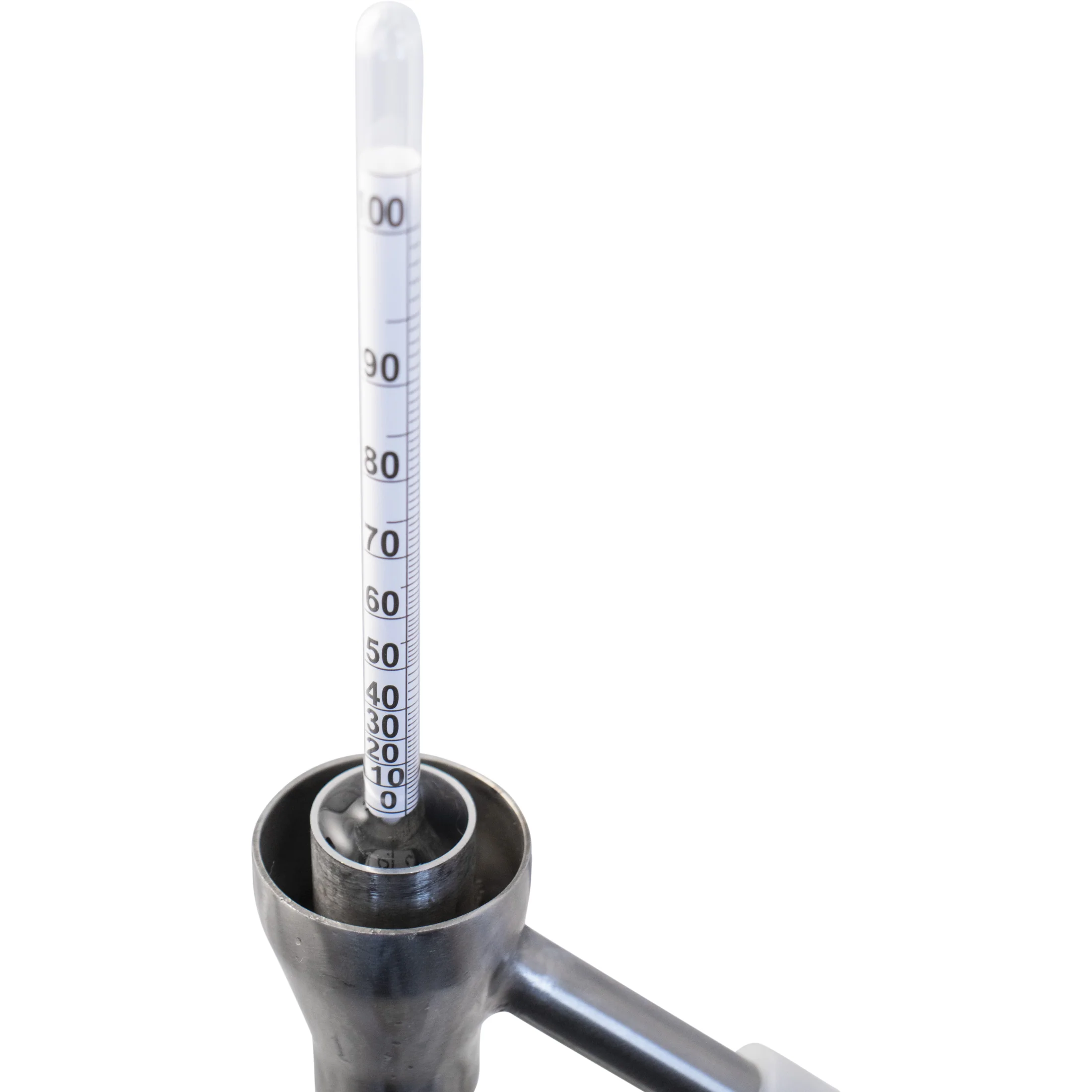 Stainless Steel Distilling Parrot - Image 3