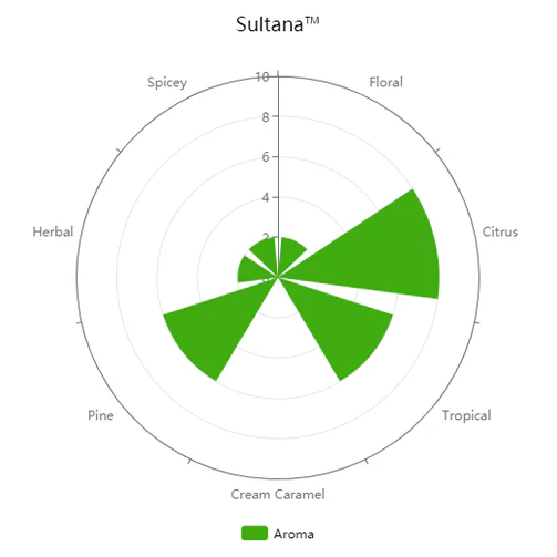 Sultana™ | Experimental #06277 | Pellet Hops - Image 4