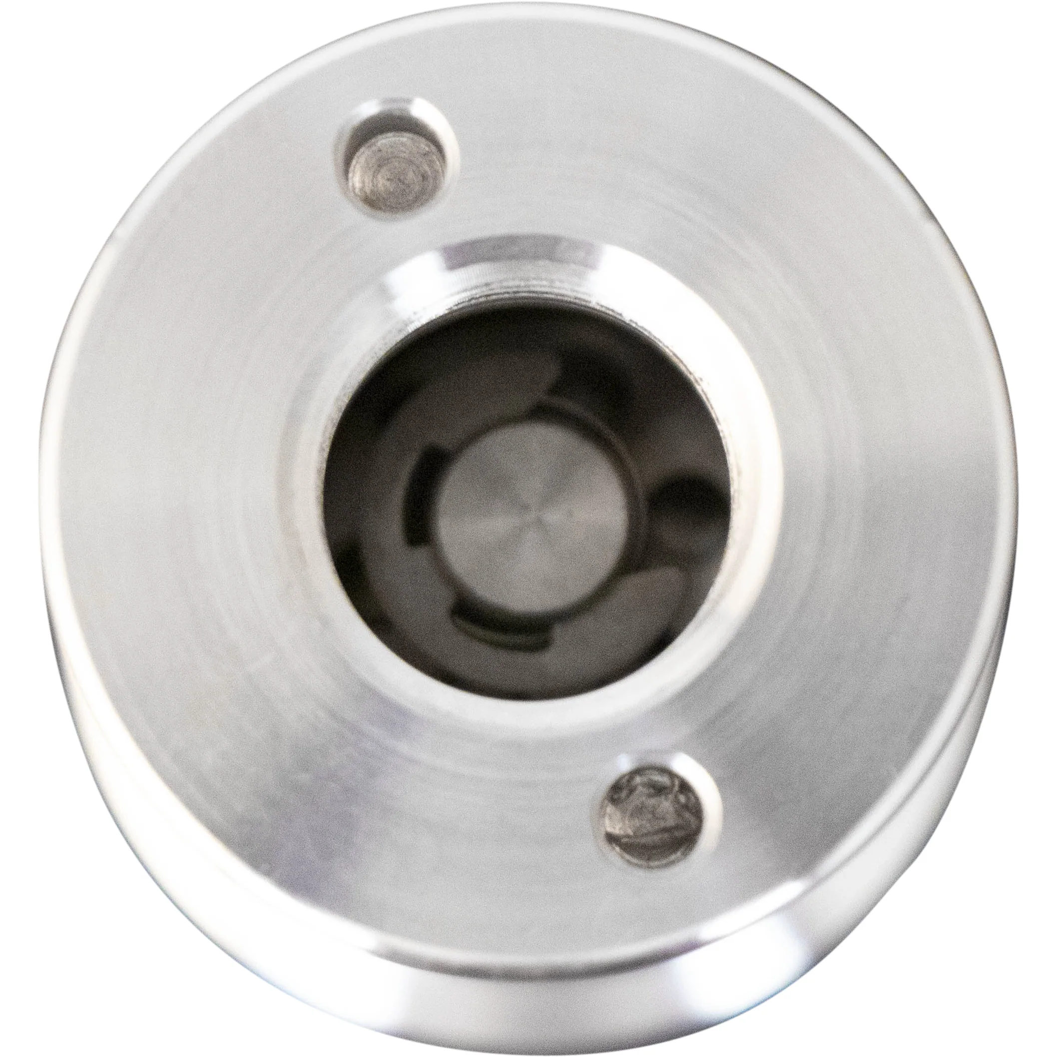 Vacuum Breaker with Back Gas Port - 1.5 in. T.C. - Image 4