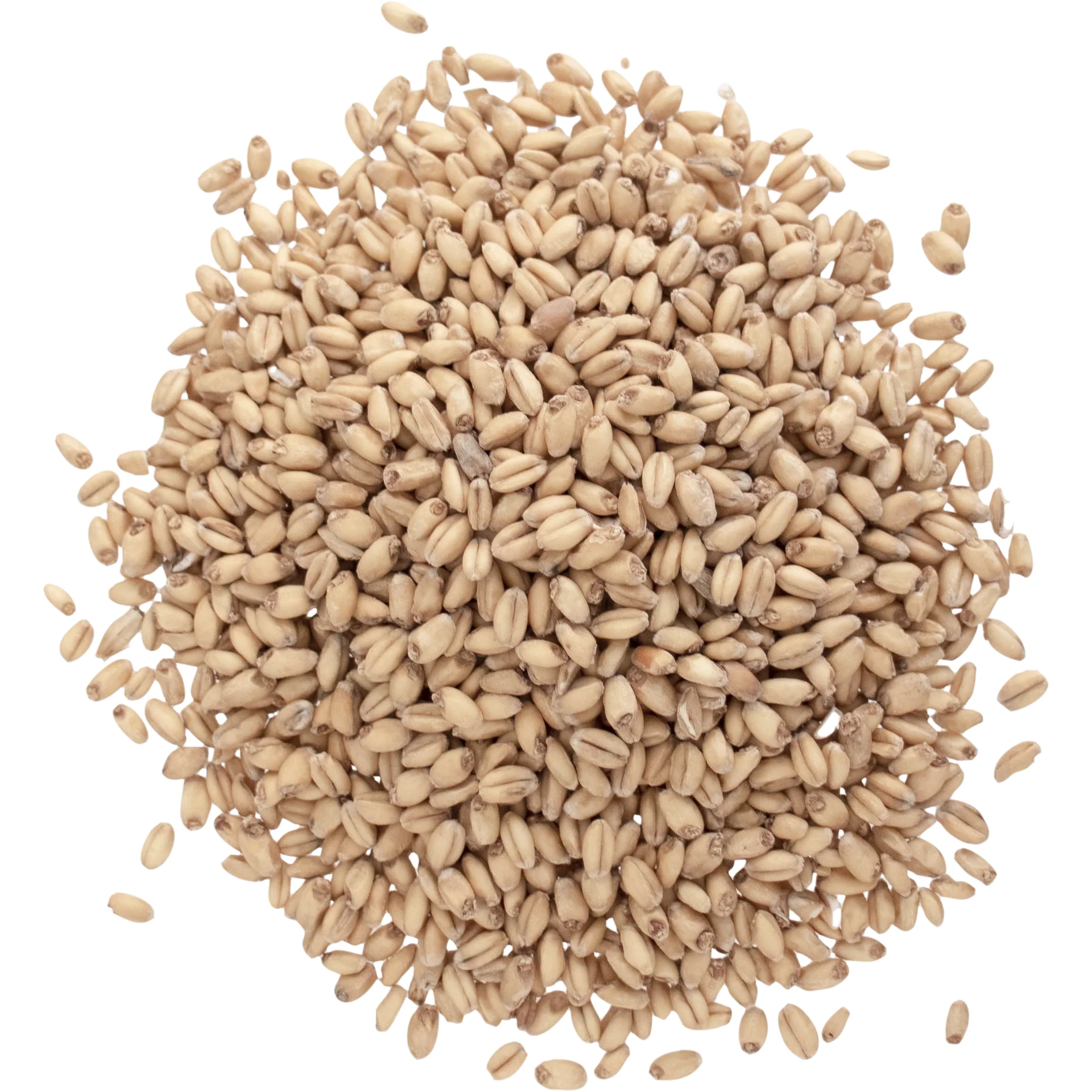 White Wheat Malt - Briess Malting